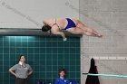 Diving vs Babson  Wheaton College Diving vs Babson College. - Photo By: KEITH NORDSTROM : Wheaton, Diving
